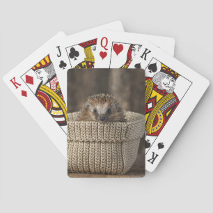Jeu De Cartes Animaux de bébés cutest   Hérisson dans un panier