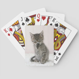 Jeu De Cartes Animaux de bébés cutest   Licking Tabby Kitten