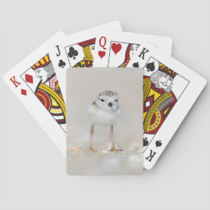 Jeu De Cartes Animaux de bébés cutest Poussette de tuyauterie