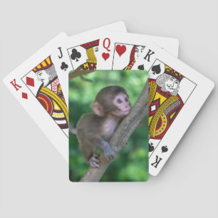 Jeu De Cartes Animaux de bébés cutest   Singe bébé