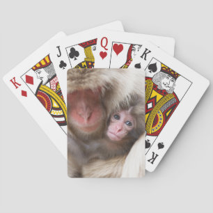 Jeu De Cartes Animaux de bébés cutest   Singe des neiges