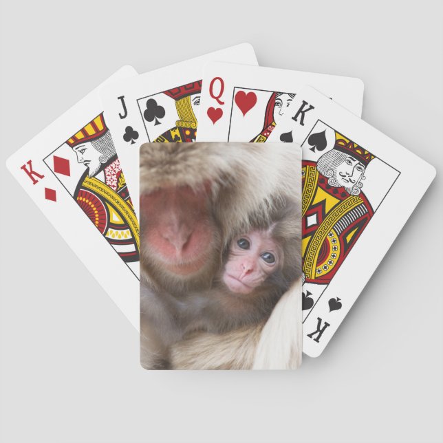 Jeu De Cartes Animaux de bébés cutest | Singe des neiges (dos)