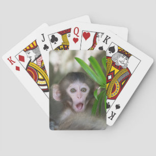 Jeu De Cartes Animaux de bébés cutest   Singe des neiges surpris