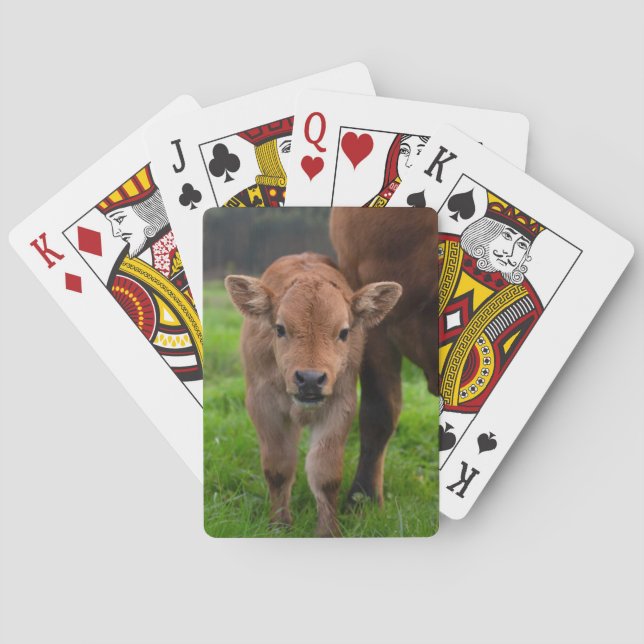 Jeu De Cartes Animaux de bébés cutest | Vache et veau (dos)