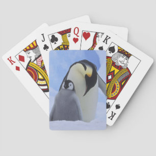 Jeu De Cartes Antarctique. Manchots empereurs et poussin