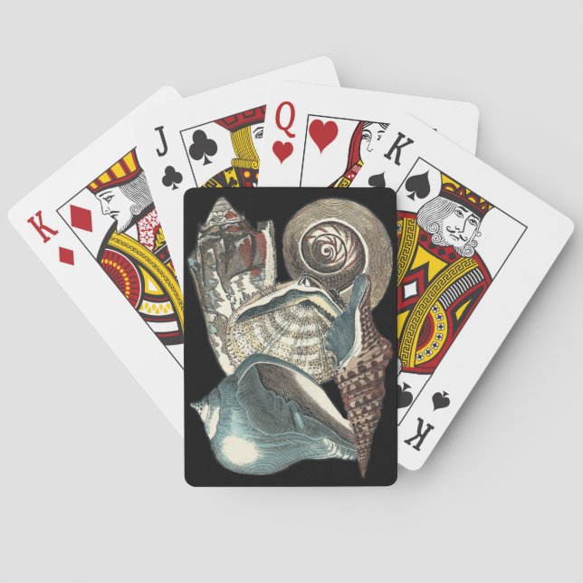 Jeu De Cartes Anthologie des coquillages (dos)