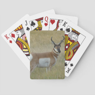 Jeu De Cartes Antilope d'Amérique A1 Grand Buck