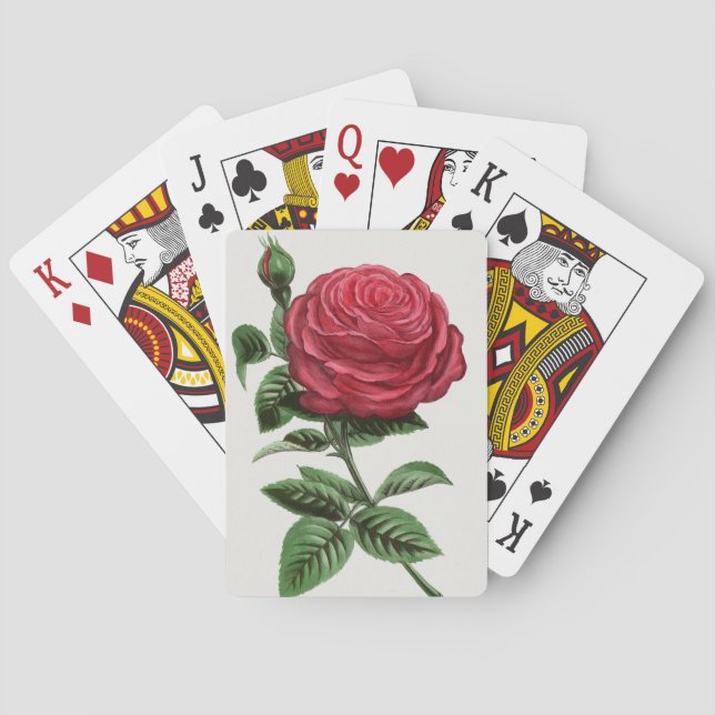 Jeu De Cartes Antique Rose Lithograph, François-Frédéric Grobon (dos)