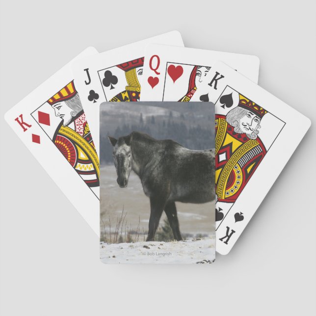 Jeu De Cartes Appaloosa Horse (dos)