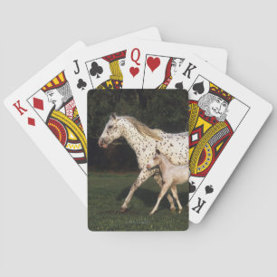 Jeu De Cartes Appaloosa Mare And Foal in Field