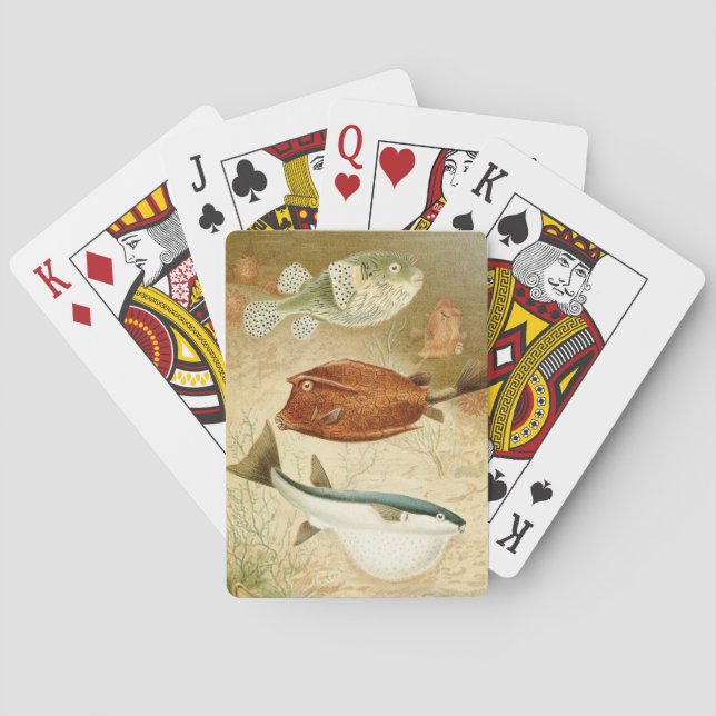 Jeu De Cartes Aquatique néerlandais (dos)