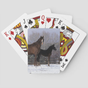 Jeu De Cartes Arab Mare & Foal in Snow