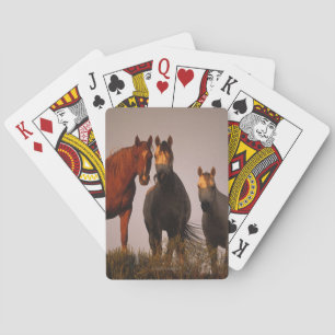 Jeu De Cartes Arabes au coucher du soleil