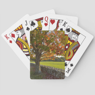 Jeu De Cartes Arbre d'automne à mur de pierre Jouer des cartes