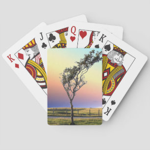 JEU DE CARTES ARBRE LONE
