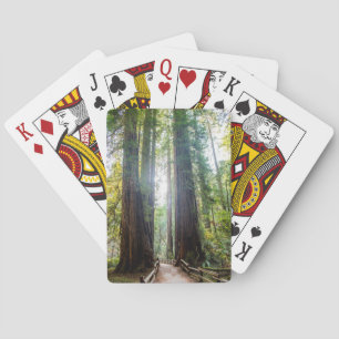 Jeu De Cartes Arbres grands