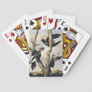 Jeu De Cartes Art Audubon vintage Pic à bec ivoire