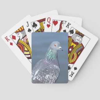 Jeu De Cartes Associé de pigeon