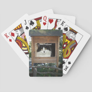 Jeu De Cartes Attitude du chat
