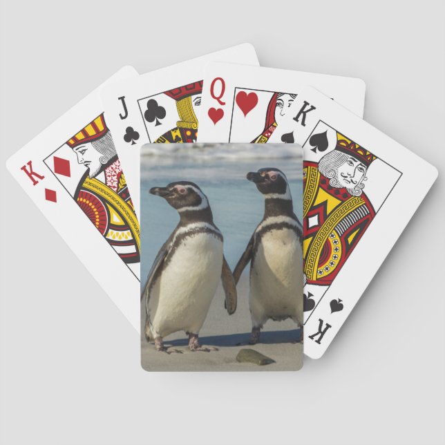 Jeu De Cartes Au pair des penguins (dos)