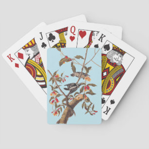 Jeu De Cartes Audubon Downy Pic Couple aux fleurs