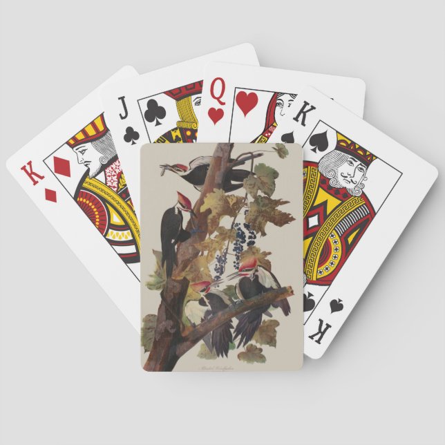 Jeu De Cartes Audubon Peinture d'Oiseaux Pic Pilé (dos)