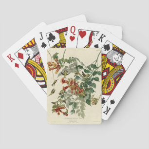Jeu De Cartes Audubon Throsé de colibri