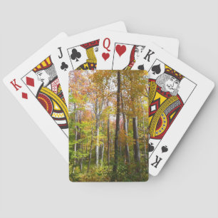 Jeu De Cartes Automne Forêt I Automne Paysage Photographie