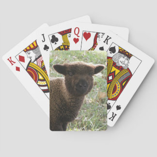 Jeu De Cartes Babydoll Agneau Southdown