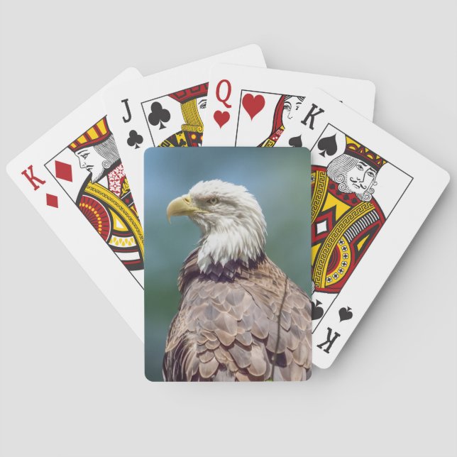 Jeu De Cartes Bald Eagle Jouer aux cartes (dos)
