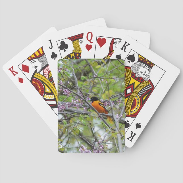 Jeu De Cartes Baltimore Oriole (dos)
