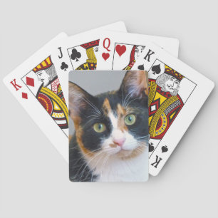Jeu De Cartes Bandit