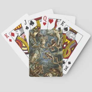 Jeu De Cartes Batrachie de grenouilles vintages et de crapauds p