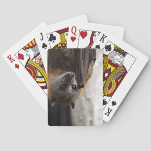 Jeu De Cartes Batte australienne