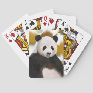 Jeu De Cartes Beau Panda Bear Abstrait Arrière - plan