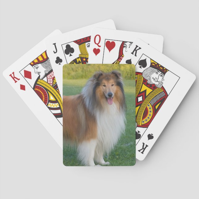 Jeu De Cartes Beau Rough Collie Dog (dos)