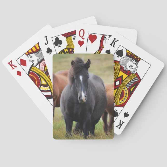 Jeu De Cartes Beaux chevaux (dos)