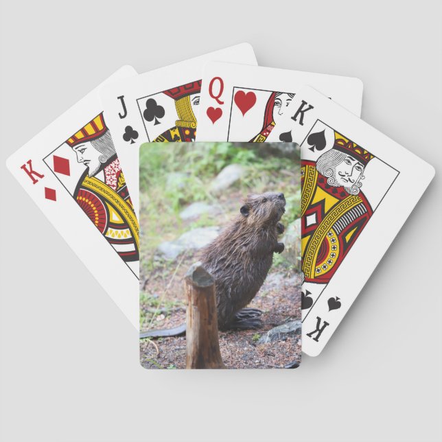 Jeu De Cartes Beaver (dos)
