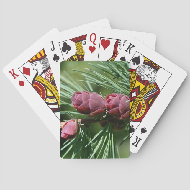 Jeu De Cartes Bébé Miniature Pine Cônes Nature (dos)