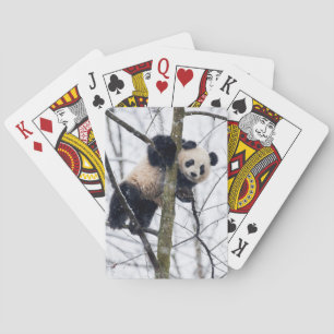 Jeu De Cartes Bébé panda dans l'arbre
