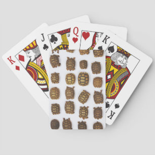 Jeu De Cartes Bébé tortoises arranged en rows