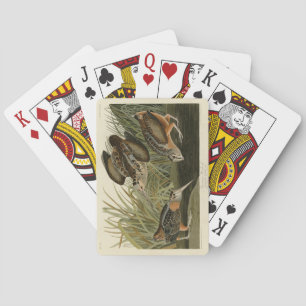 Jeu De Cartes Bécasse américaine d'Audubon's Birds of America