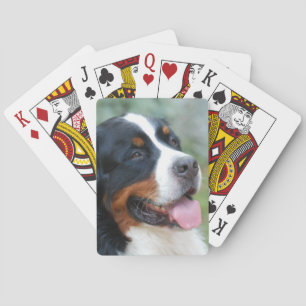 Jeu De Cartes Belle carte bernoise
