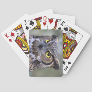Jeu De Cartes Belle Chouette Deck de cartes de jeu