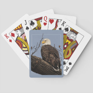 Jeu De Cartes Belle maman (Aigle)