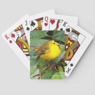 Jeu De Cartes Belle Paruline Wilson dans le cerisier