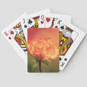 Jeu De Cartes Belle photo de Rose romantique