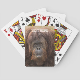 Jeu De Cartes Belle photographie de Borneo Orangutan