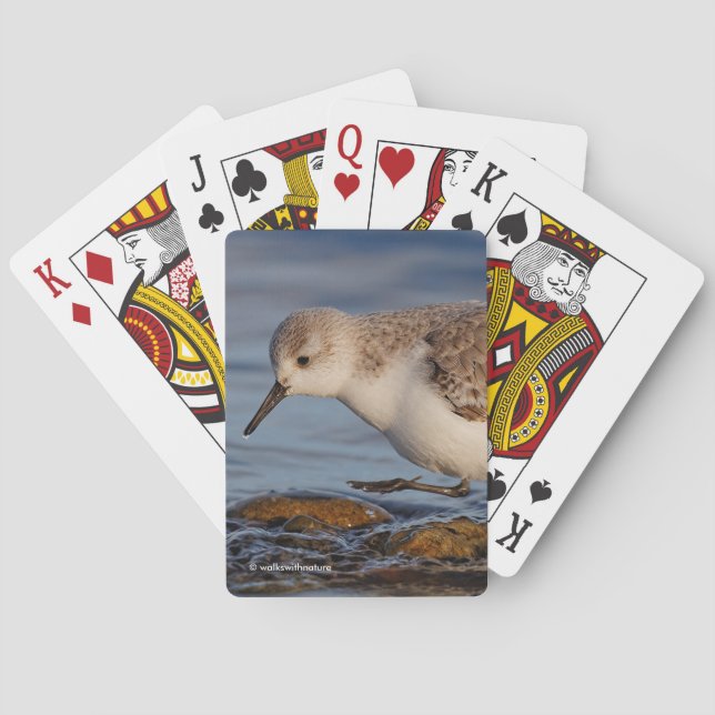 Jeu De Cartes Belle Sanderling Sandpiper Marche Plage d'hiver (dos)