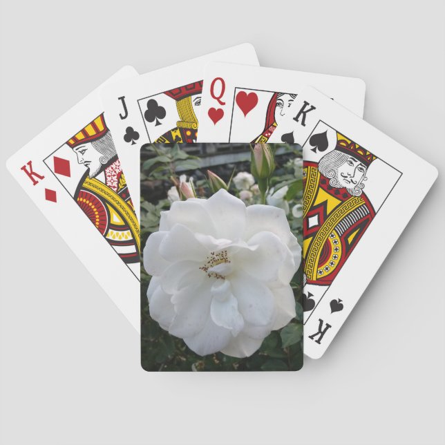 Jeu De Cartes Belles cartes de jeu (dos)